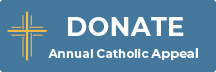 ACA 2025 Donate Button 3x1 horizontal English 1 