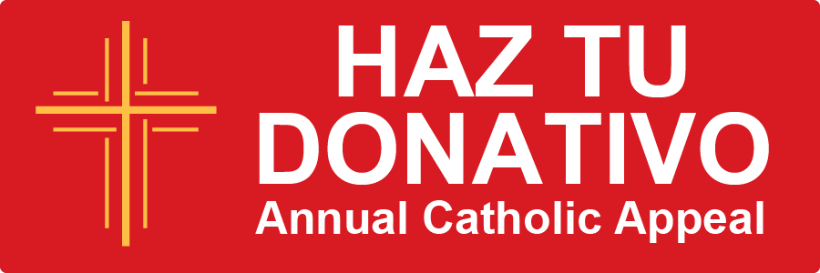 ACA 2026 Donate button 3x1 Span